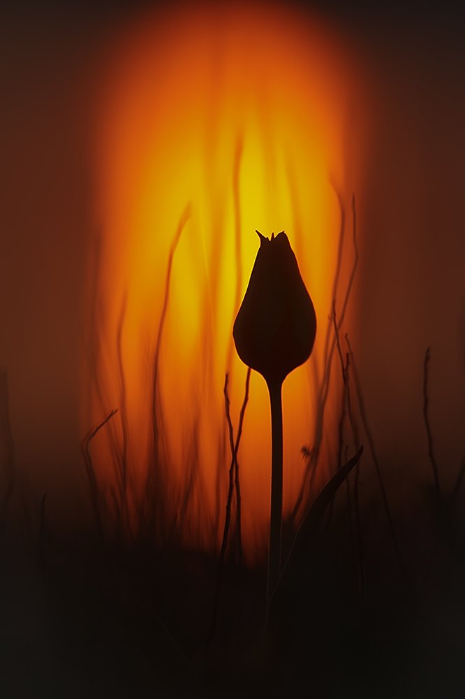 Photograph by Илья Михеев