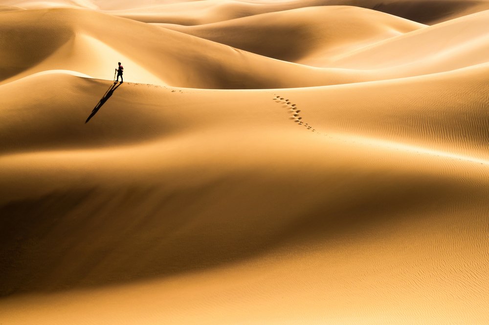 Photograph by Hamid Jamshidian