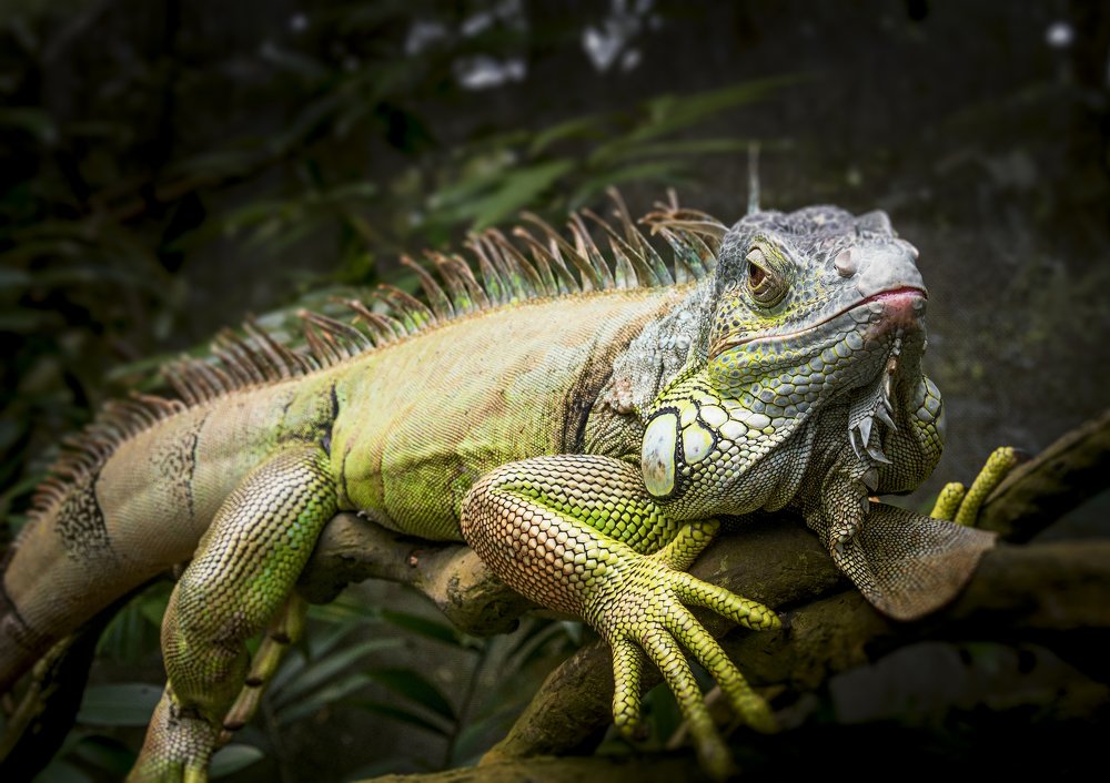 Photograph by Игорь Посиделов