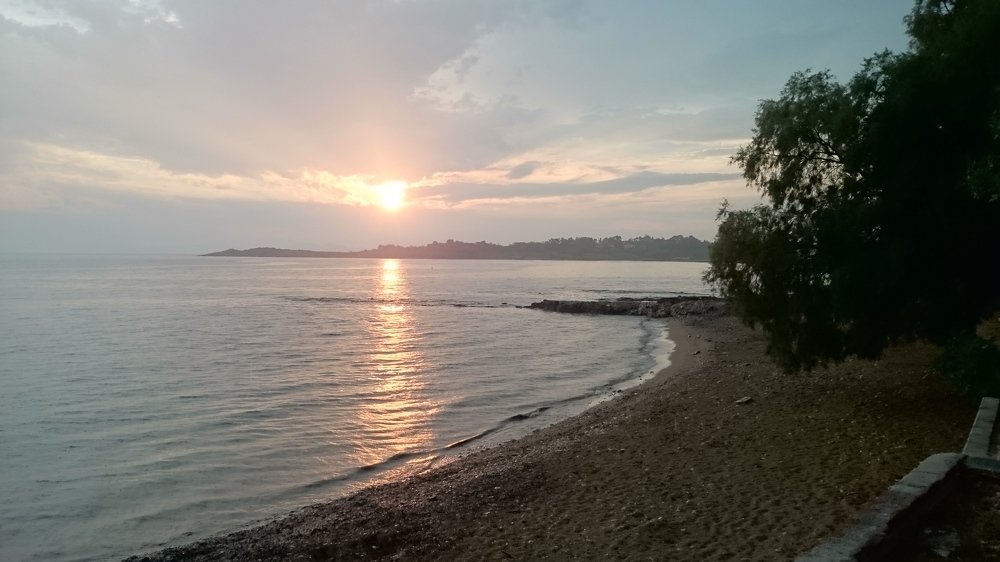 Photo #4231140