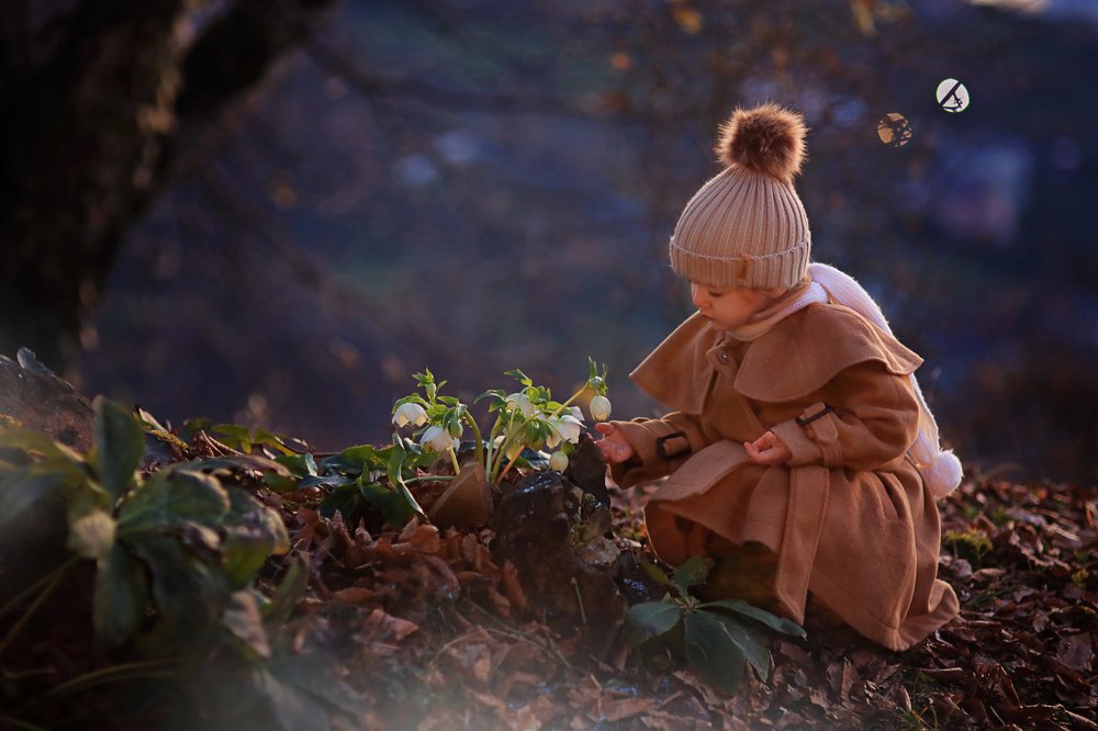 Photograph by Склярова Анастасия