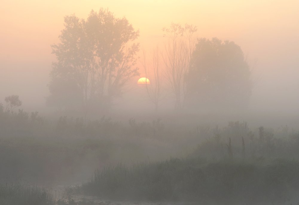 Полусолнце