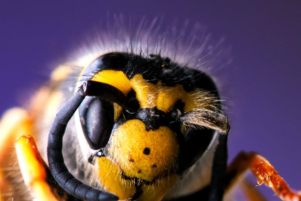 Photograph by Алексей Карпинчик