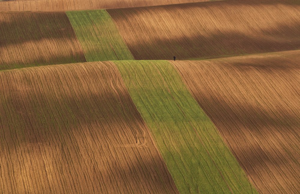 Фотография автора Марина Савчиц