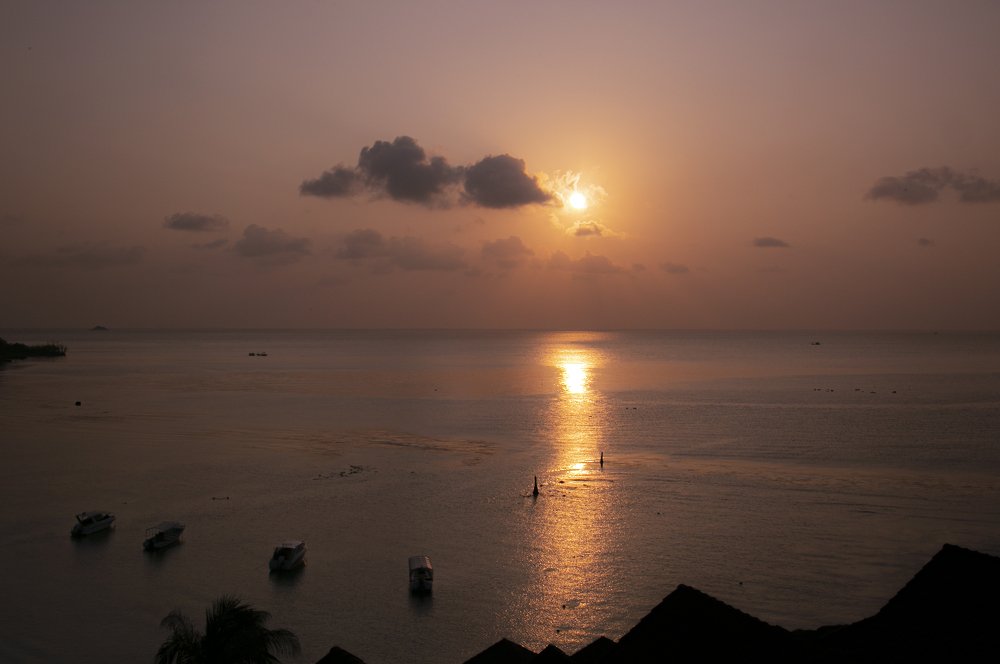 Photograph by Liudmila Drake