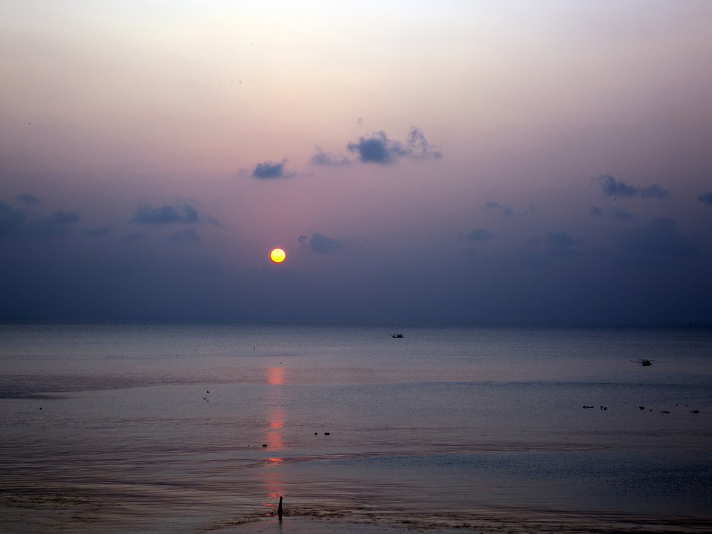 Рыбалка во время отлива