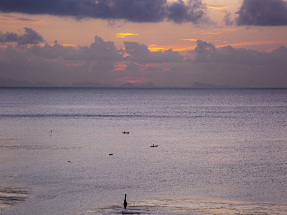 Photograph by Liudmila Drake