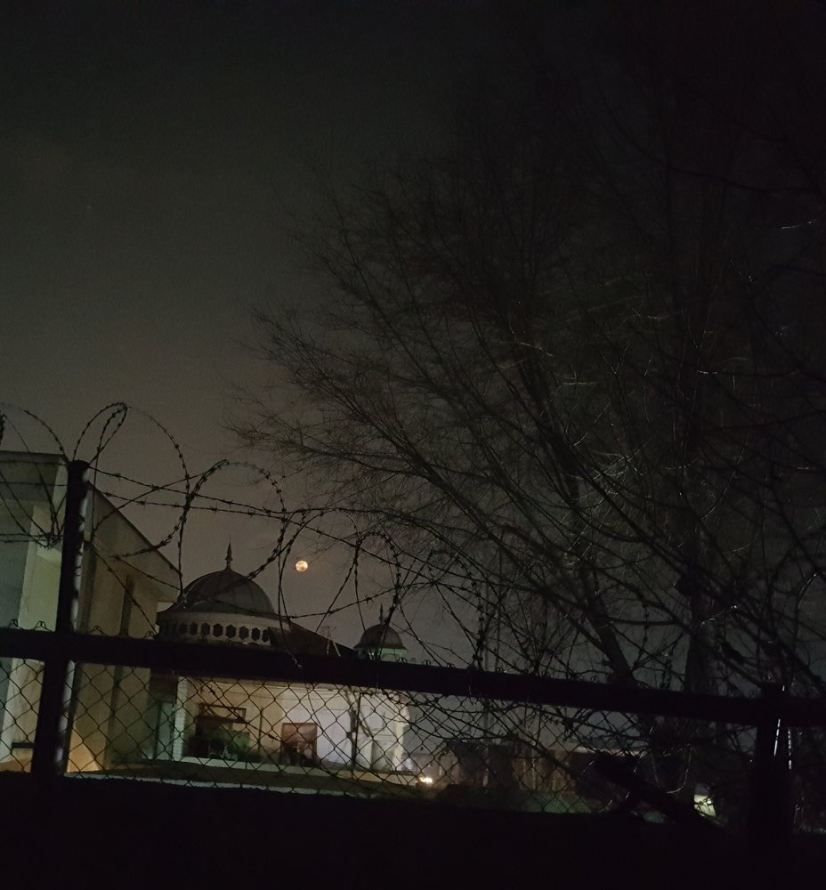 Photo #4231474