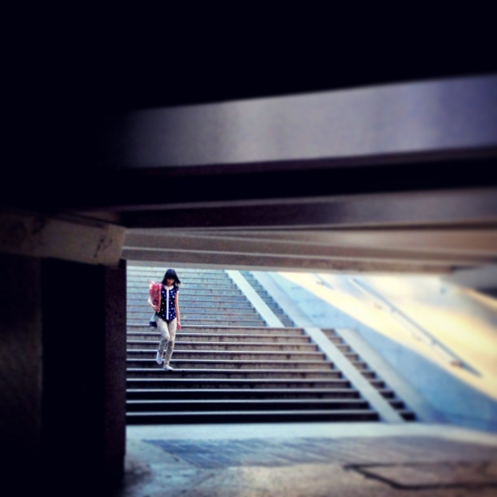 Photo #4231486