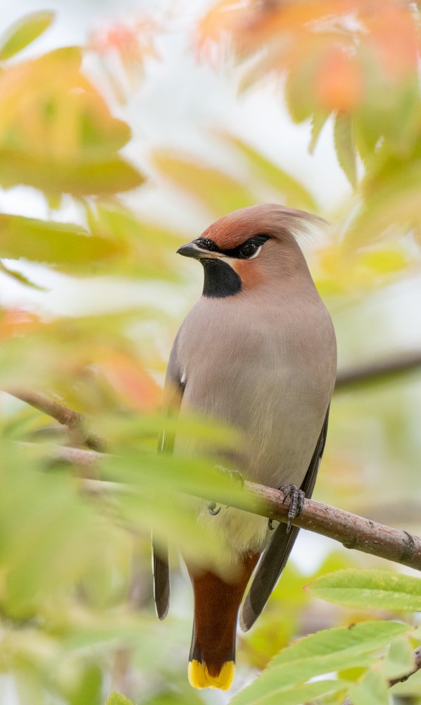Photograph by Сергей Сыресин