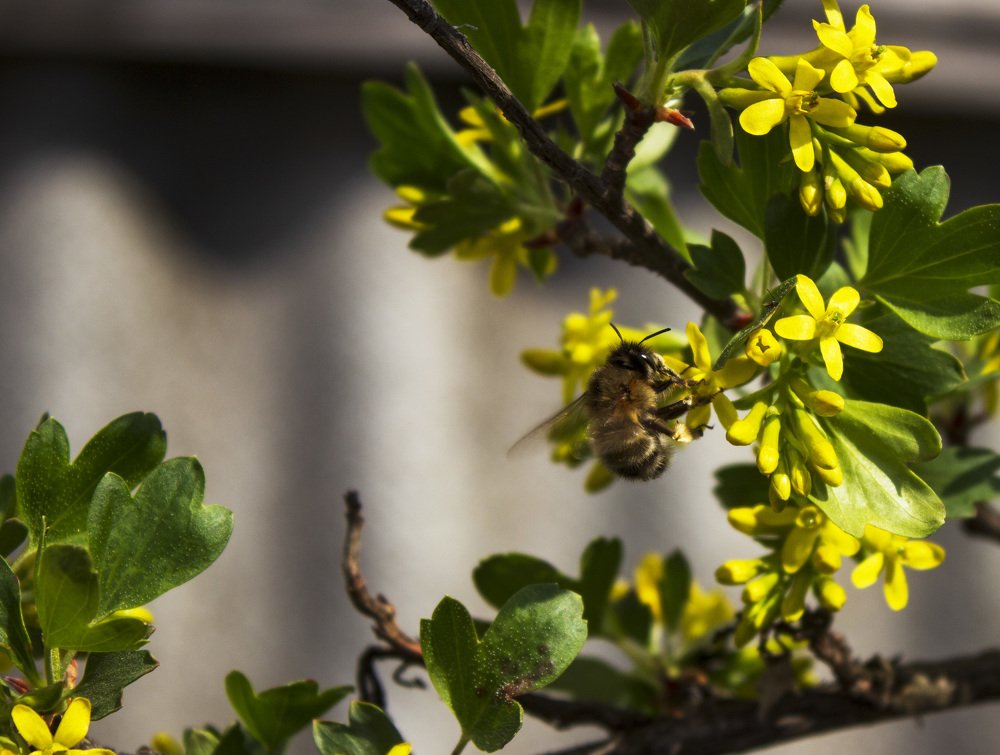 Photograph by Татьяна