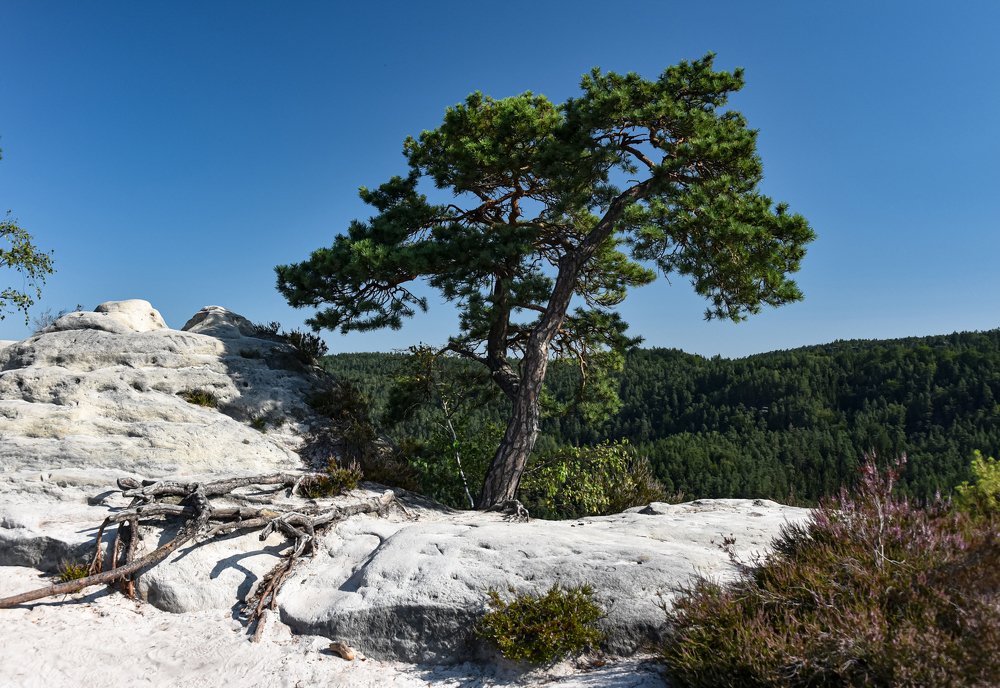 Photograph by Наталия Березина