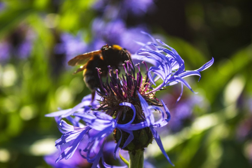 Photograph by Татьяна