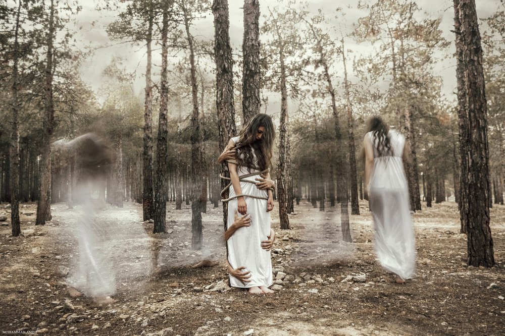 Photograph by  Mohammad Amini