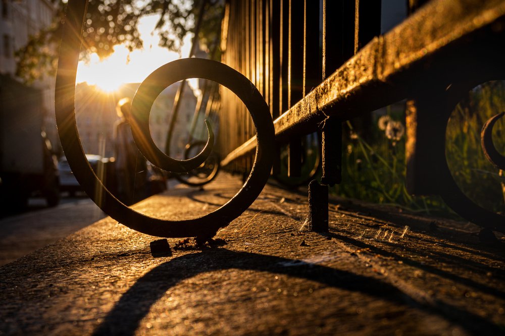Photograph by 