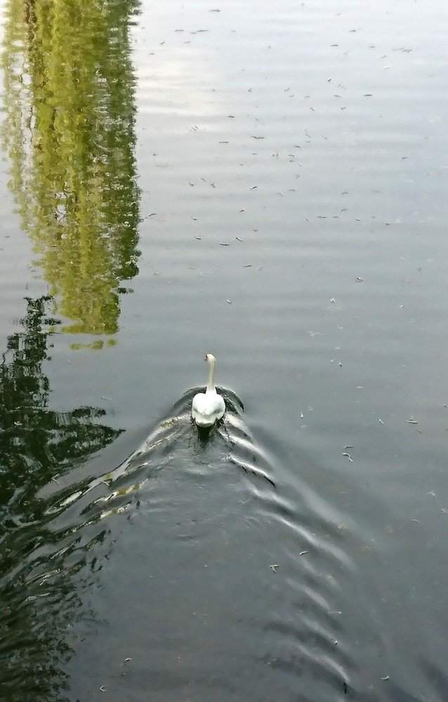 Photograph by Xenia Newman