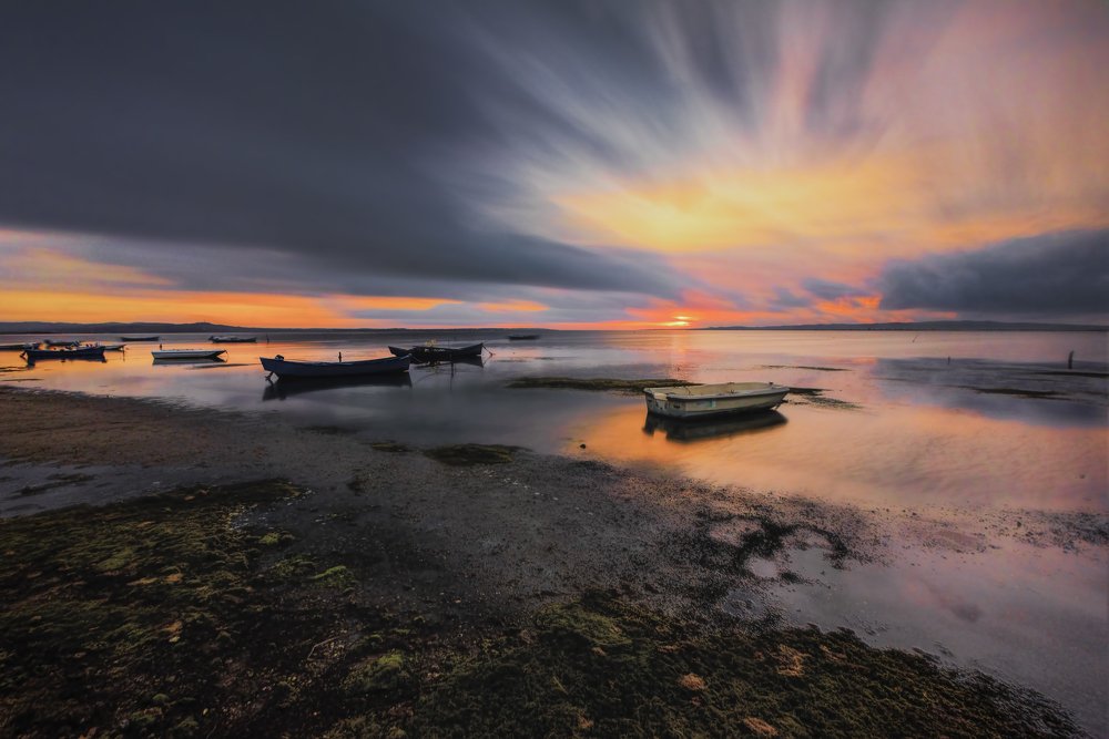 Photograph by Giovanni Corona