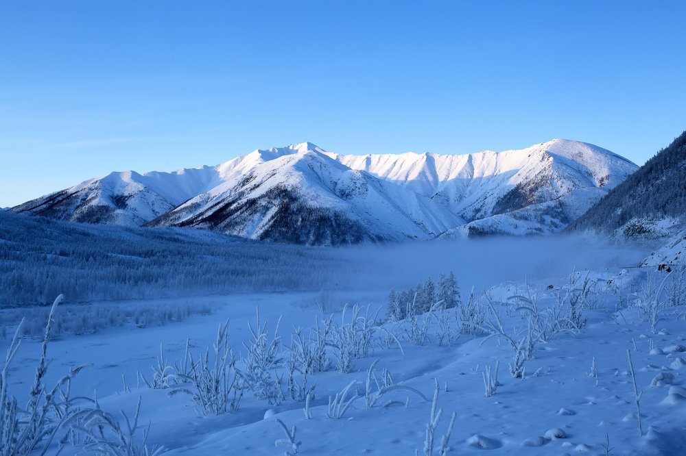 Зимнее утро.