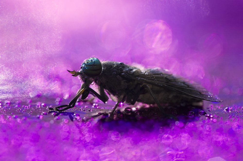 Photograph by Наталья Санталова