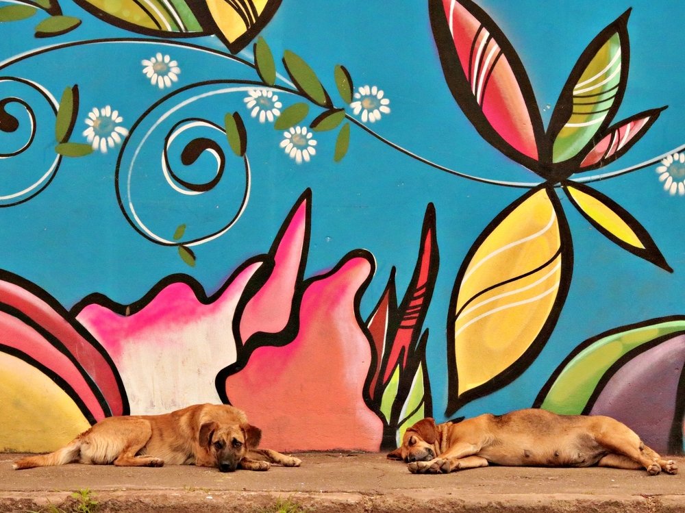 Photograph by Wallace Ribeiro de Jesus