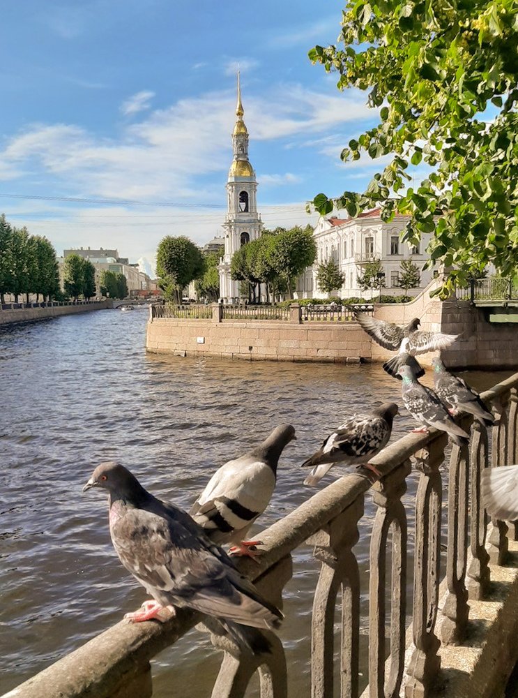 Фотография автора Ольга Виноградова