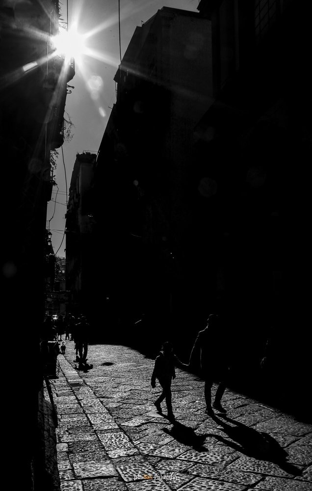 Photograph by Sax Palumbo