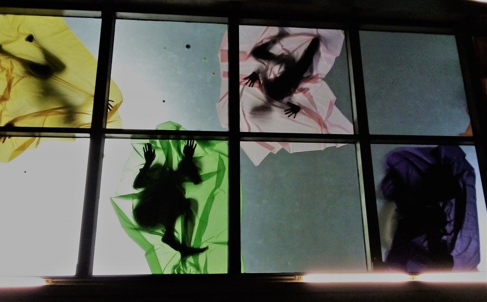 Photograph by José Luis Mendoza Machado