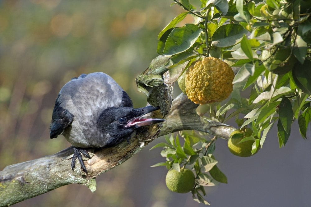 Photograph by Людмила Бекман