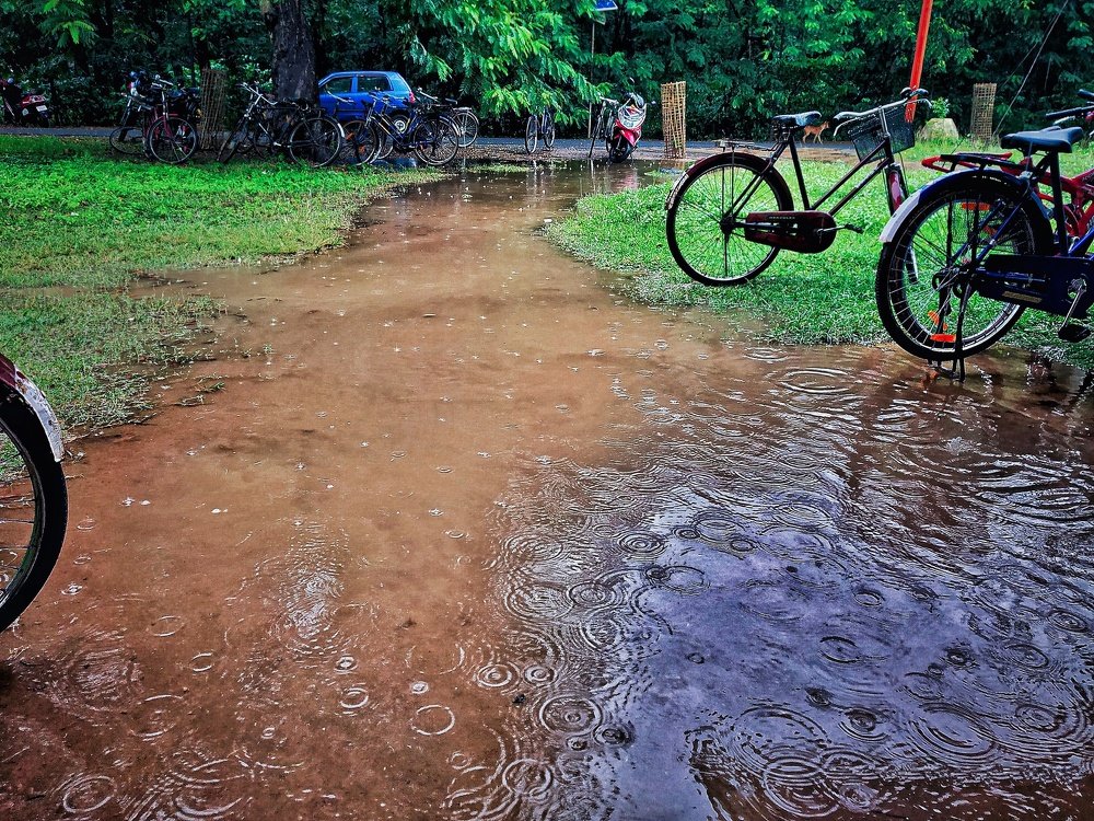 Photograph by DEBDIPTO BAKSHI