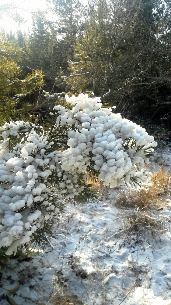 Photograph by Елена Зиновьева