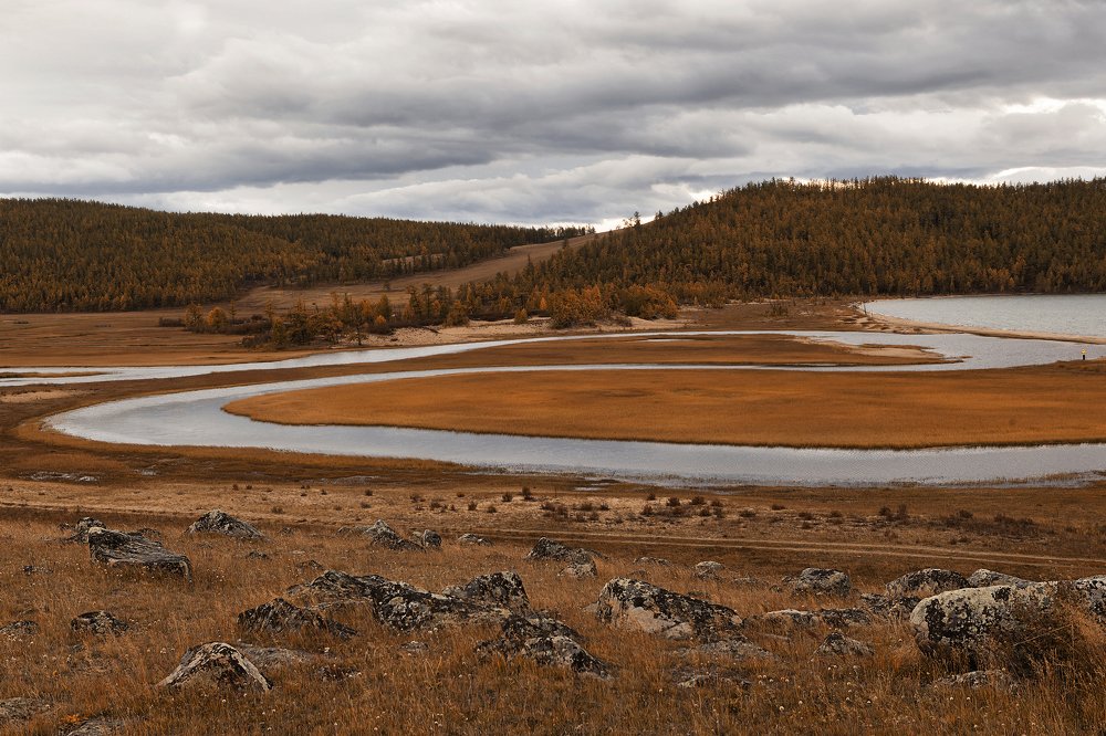 Фотография автора Лариса Кисурина