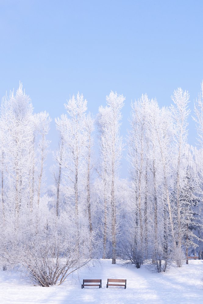 Фотография автора Лариса Кисурина