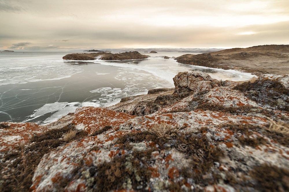 Фотография автора Лариса Кисурина