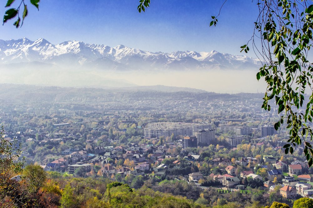 Photograph by Алёна Фефелова