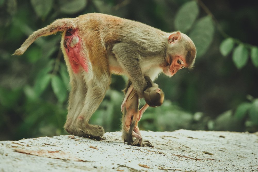 Фотография автора Thiha Myo