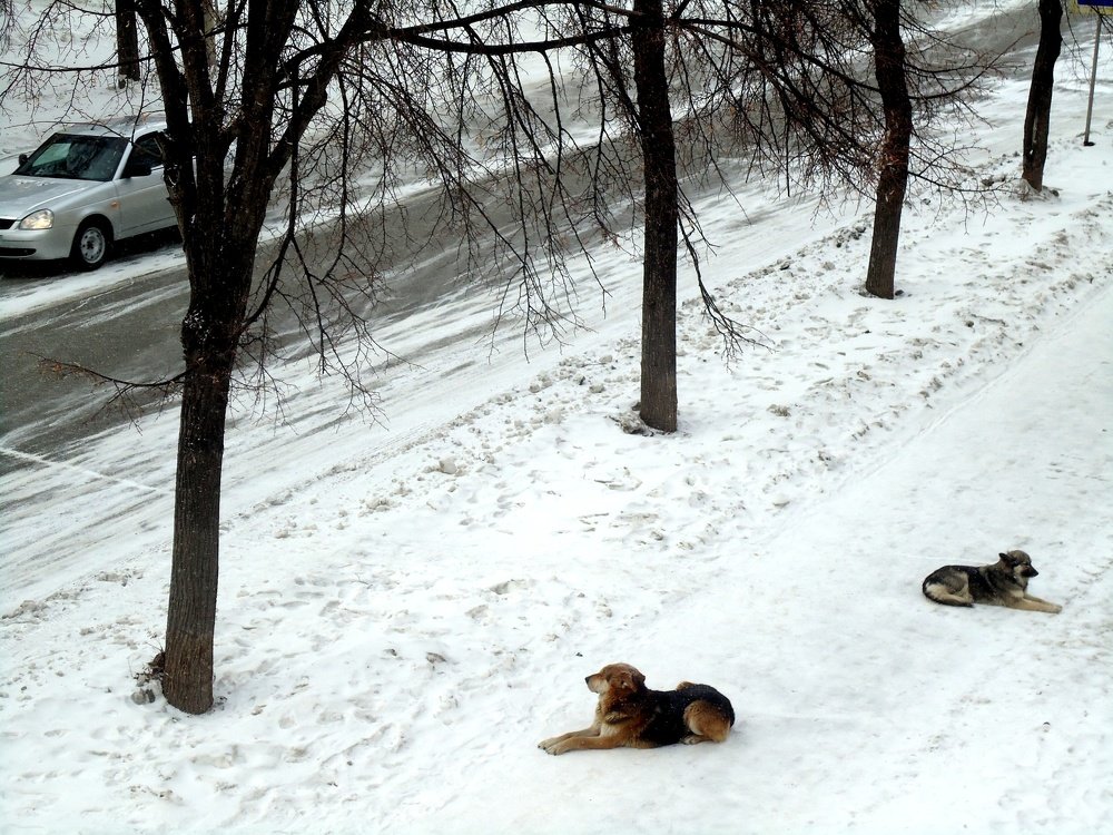Photograph by Сергей Хвостовец
