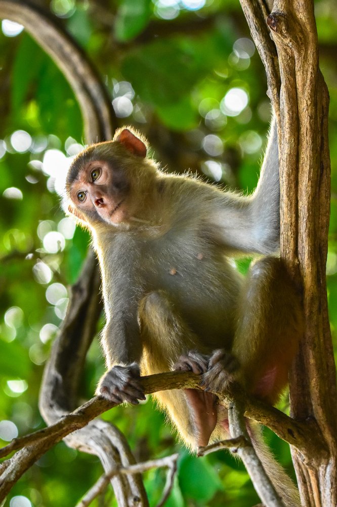 Фотография автора Thiha Myo