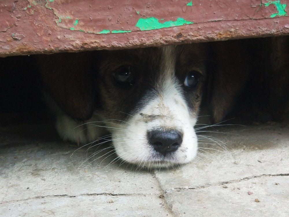 Photograph by Юлия Боровкова