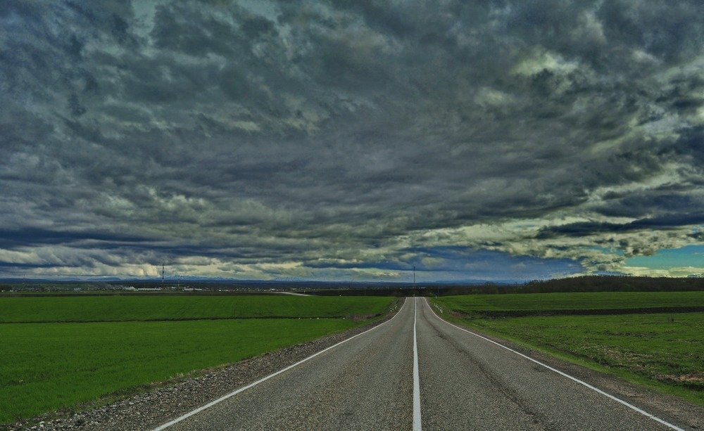 Дорога домой