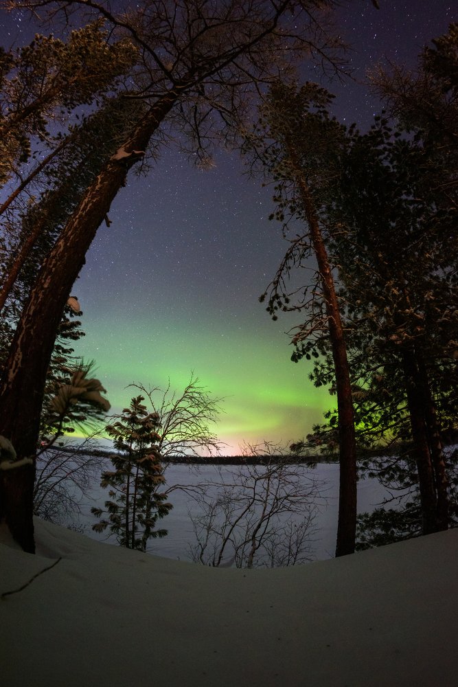 Ночная сказка