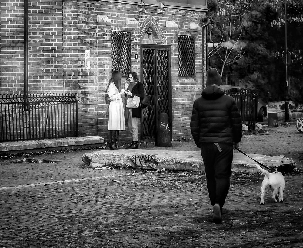Photograph by Doru Leonte