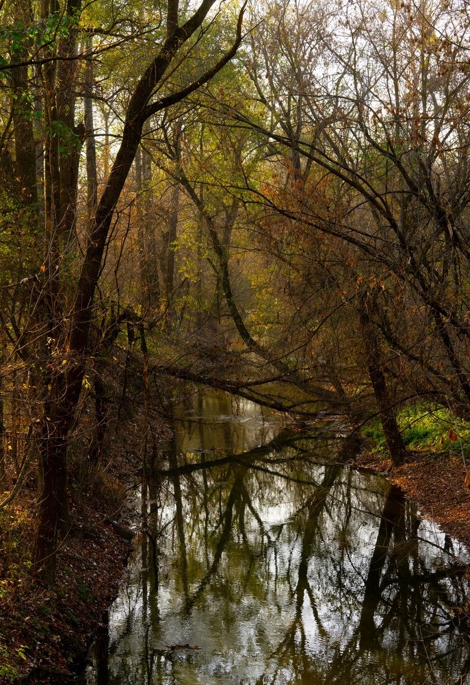 Photograph by Юрий Заставный