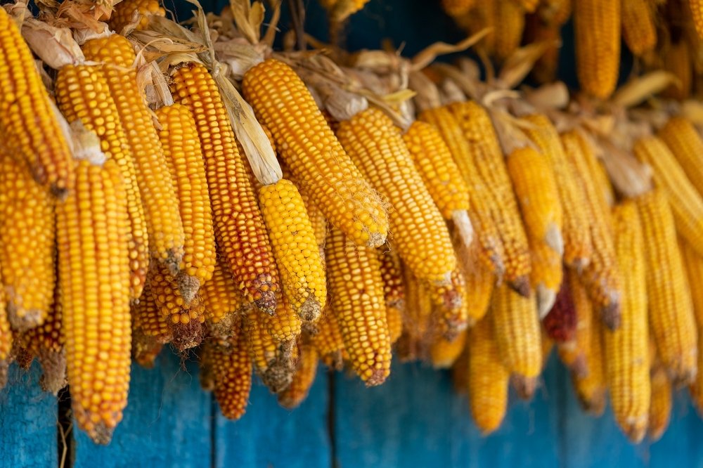 Photograph by Юрий Заставный