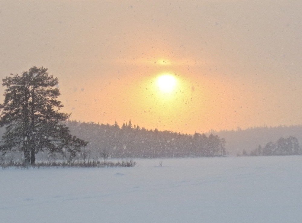 Photograph by Елена Жукова