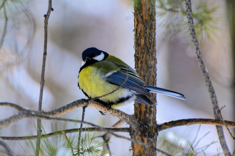 Photograph by Екатерина Овчаренко