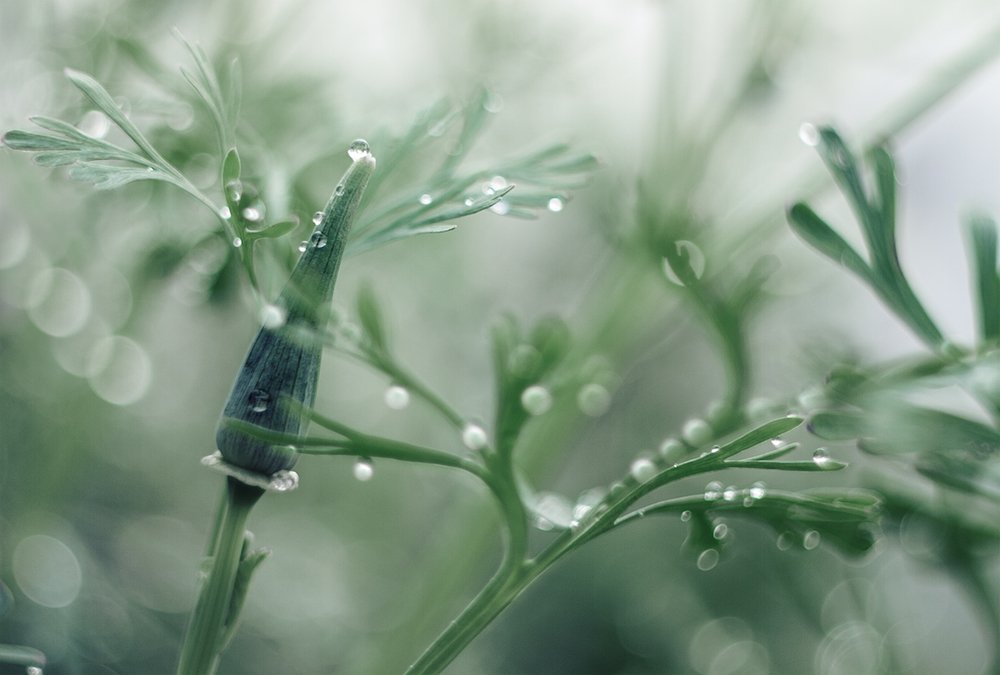 Photograph by Александра Печёнкина