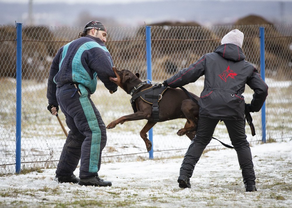 Photograph by Юлия Дудкова