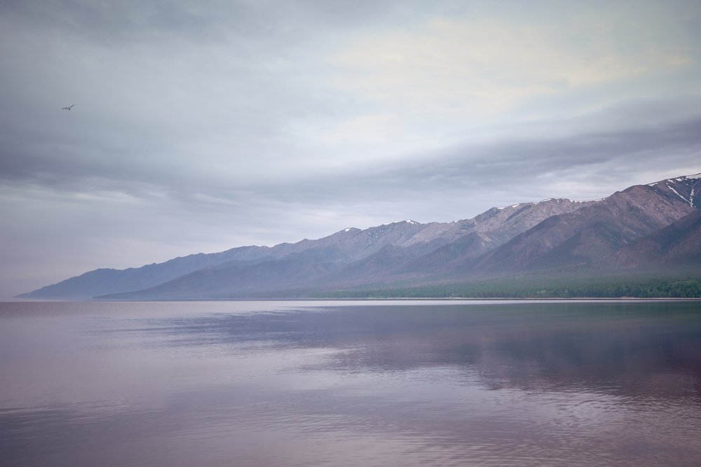 Утро, после бури