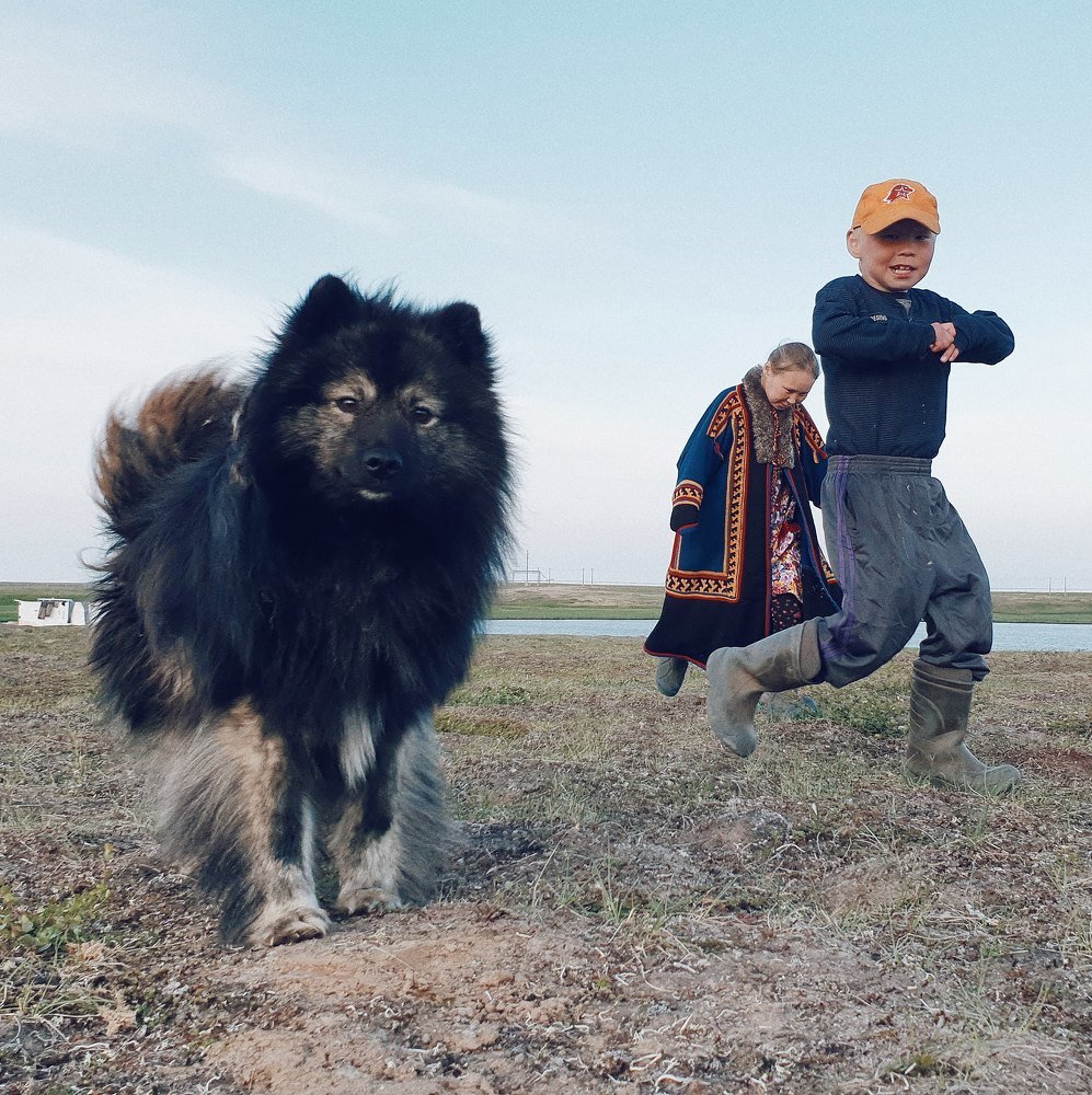 Лучшие друзья