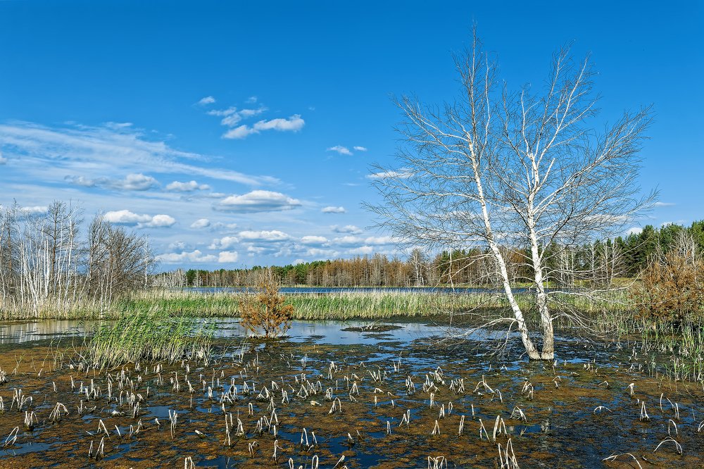 Photograph by Дмитрий Конев